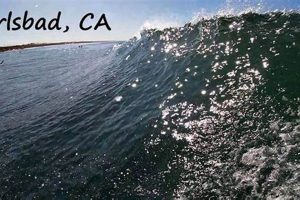 Surf Report Carlsbad California Learn to Surf & Skate: A Beginner's Step-by-Step Guide Surf Report Carlsbad California | Learn to Surf & Skate: A Beginner's Step-by-Step Guide