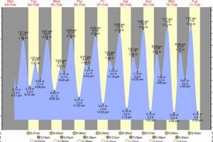 Soloana Beach Surf Statistics: Your Guide to Perfect Waves Learn to Surf & Skate: A Beginner's Step-by-Step Guide Soloana Beach Surf Statistics: Your Guide to Perfect Waves | Learn to Surf & Skate: A Beginner's Step-by-Step Guide