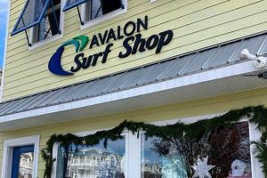 Avalon Surf Shop: Gear Up & Ride! Learn to Surf & Skate: A Beginner's Step-by-Step Guide Avalon Surf Shop: Gear Up & Ride! | Learn to Surf & Skate: A Beginner's Step-by-Step Guide