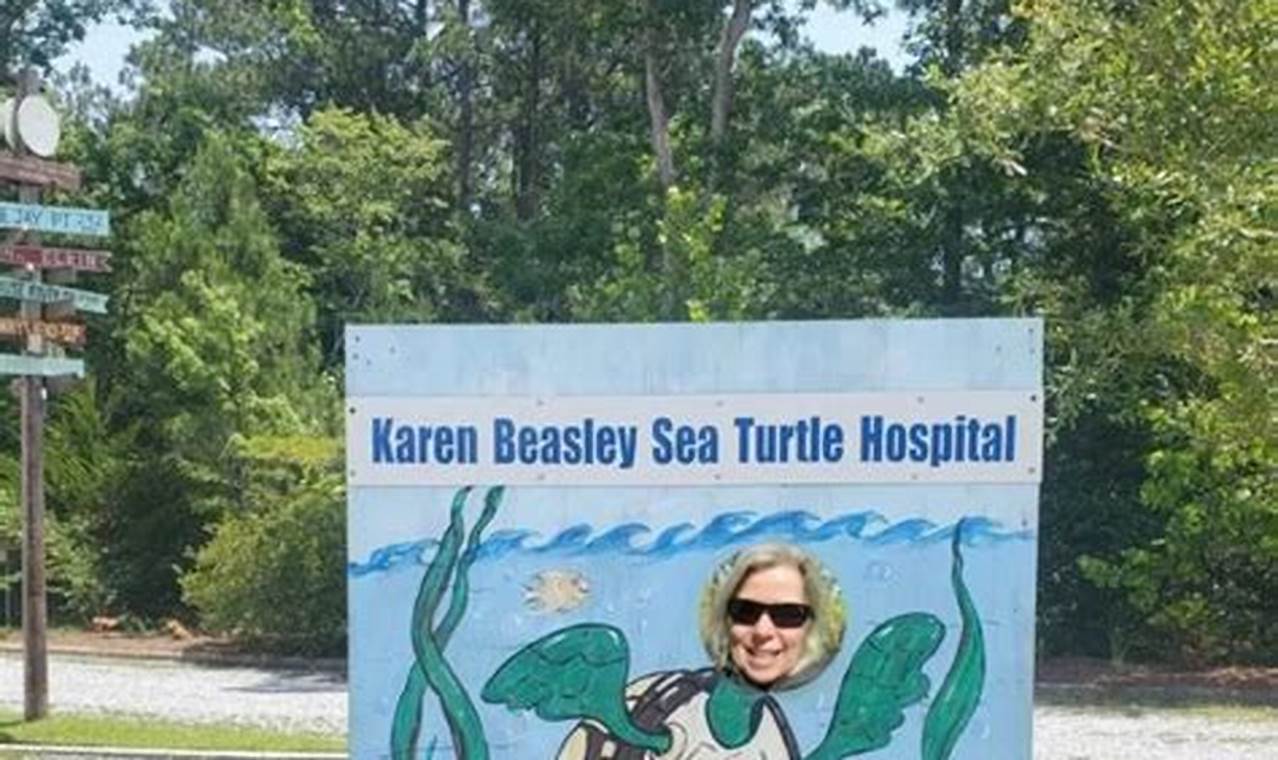 Rescue at Surf City Turtle Hospital: Saving Sea Turtles! Learn to Surf & Skate: A Beginner's Step-by-Step Guide Rescue at Surf City Turtle Hospital: Saving Sea Turtles! | Learn to Surf & Skate: A Beginner's Step-by-Step Guide