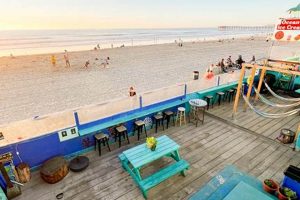 Ith Beach Bungalow Surf Hostel: Your Beach Paradise Learn to Surf & Skate: A Beginner's Step-by-Step Guide Ith Beach Bungalow Surf Hostel: Your Beach Paradise | Learn to Surf & Skate: A Beginner's Step-by-Step Guide