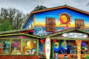 Your Guide: Best Surf Shops Outer Banks NC (2024) Learn to Surf & Skate: A Beginner's Step-by-Step Guide Your Guide: Best Surf Shops Outer Banks NC (2024) | Learn to Surf & Skate: A Beginner's Step-by-Step Guide