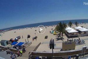 Watch Surf City Cams: Live Beach Views & More Learn to Surf & Skate: A Beginner's Step-by-Step Guide Watch Surf City Cams: Live Beach Views & More | Learn to Surf & Skate: A Beginner's Step-by-Step Guide
