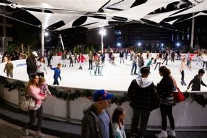 Mesa Ice Skate Guide: Rinks, Tips & More! Learn to Surf & Skate: A Beginner's Step-by-Step Guide Mesa Ice Skate Guide: Rinks, Tips & More! | Learn to Surf & Skate: A Beginner's Step-by-Step Guide