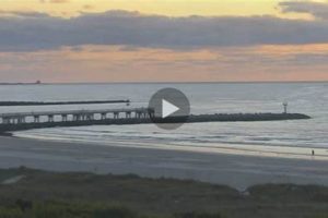 Watch Jetty Park Surf Cam Live: Realtime Ocean Views Learn to Surf & Skate: A Beginner's Step-by-Step Guide Watch Jetty Park Surf Cam Live: Realtime Ocean Views | Learn to Surf & Skate: A Beginner's Step-by-Step Guide