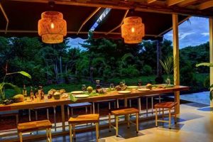 Nosara Surf Hotel: Your Dream Surf Getaway in Costa Rica Learn to Surf & Skate: A Beginner's Step-by-Step Guide Nosara Surf Hotel: Your Dream Surf Getaway in Costa Rica | Learn to Surf & Skate: A Beginner's Step-by-Step Guide