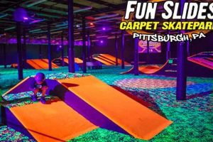 DIY Carpet Skate Park Guide: Mini Ramp Fun! Learn to Surf & Skate: A Beginner's Step-by-Step Guide DIY Carpet Skate Park Guide: Mini Ramp Fun! | Learn to Surf & Skate: A Beginner's Step-by-Step Guide