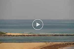 Ft. Pierce Inlet Surf Cam: Live View + Surf Report Learn to Surf & Skate: A Beginner's Step-by-Step Guide Ft. Pierce Inlet Surf Cam: Live View + Surf Report | Learn to Surf & Skate: A Beginner's Step-by-Step Guide