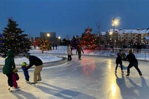 Glide Around: Central Park Ice Skate Loop Fun! Learn to Surf & Skate: A Beginner's Step-by-Step Guide Glide Around: Central Park Ice Skate Loop Fun! | Learn to Surf & Skate: A Beginner's Step-by-Step Guide