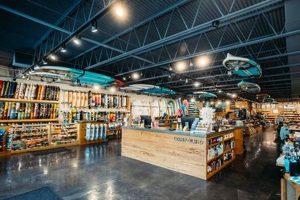 Local Compound Skate Shop: Gear, Experts & More Learn to Surf & Skate: A Beginner's Step-by-Step Guide Local Compound Skate Shop: Gear, Experts & More | Learn to Surf & Skate: A Beginner's Step-by-Step Guide
