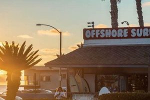 Your Guide to Carlsbad Surf Shops: Gear, Rentals & More! Learn to Surf & Skate: A Beginner's Step-by-Step Guide Your Guide to Carlsbad Surf Shops: Gear, Rentals & More! | Learn to Surf & Skate: A Beginner's Step-by-Step Guide