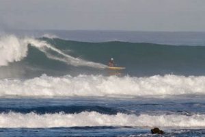 Oahu Surf: Pat Caldwell's Expert Report & Forecast Learn to Surf & Skate: A Beginner's Step-by-Step Guide Oahu Surf: Pat Caldwell's Expert Report & Forecast | Learn to Surf & Skate: A Beginner's Step-by-Step Guide