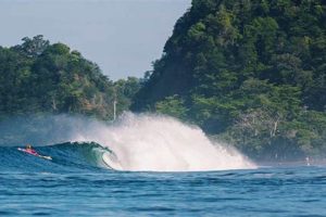 Best Costa Rica Surfing Beaches: Your Surf Paradise! Learn to Surf & Skate: A Beginner's Step-by-Step Guide Best Costa Rica Surfing Beaches: Your Surf Paradise! | Learn to Surf & Skate: A Beginner's Step-by-Step Guide