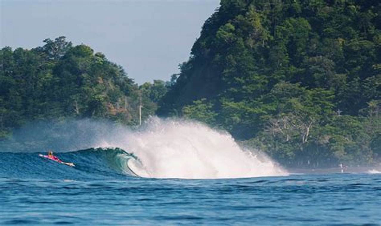 Best Costa Rica Surfing Beaches: Your Surf Paradise! Learn to Surf & Skate: A Beginner's Step-by-Step Guide Best Costa Rica Surfing Beaches: Your Surf Paradise! | Learn to Surf & Skate: A Beginner's Step-by-Step Guide