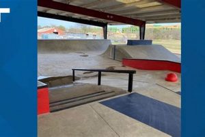 Your Conder Skate Park Guide: Thrills & Tips Learn to Surf & Skate: A Beginner's Step-by-Step Guide Your Conder Skate Park Guide: Thrills & Tips | Learn to Surf & Skate: A Beginner's Step-by-Step Guide