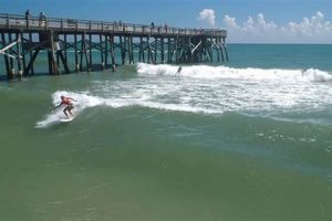 Your Guide: Daytona Beach Surf Report & Breaks Learn to Surf & Skate: A Beginner's Step-by-Step Guide Your Guide: Daytona Beach Surf Report & Breaks | Learn to Surf & Skate: A Beginner's Step-by-Step Guide