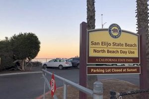 San Elijo Surf Report: Get Today's Wave & Weather Forecast! Learn to Surf & Skate: A Beginner's Step-by-Step Guide San Elijo Surf Report: Get Today's Wave & Weather Forecast! | Learn to Surf & Skate: A Beginner's Step-by-Step Guide