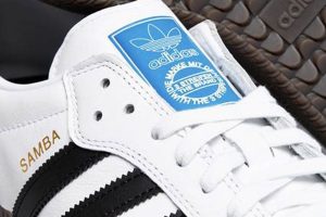 Best Adidas Samba ADV Skate Shoes: White, Black & Gum! Learn to Surf & Skate: A Beginner's Step-by-Step Guide Best Adidas Samba ADV Skate Shoes: White, Black & Gum! | Learn to Surf & Skate: A Beginner's Step-by-Step Guide