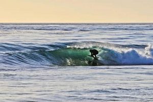 Your Laguna Beach Surf Report: Waves & Conditions Now Learn to Surf & Skate: A Beginner's Step-by-Step Guide Your Laguna Beach Surf Report: Waves & Conditions Now | Learn to Surf & Skate: A Beginner's Step-by-Step Guide