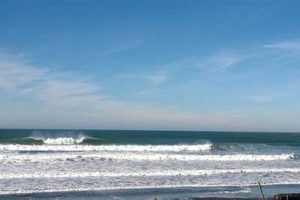 Your Westport Surf Report: Waves, Tides & More! Learn to Surf & Skate: A Beginner's Step-by-Step Guide Your Westport Surf Report: Waves, Tides & More! | Learn to Surf & Skate: A Beginner's Step-by-Step Guide