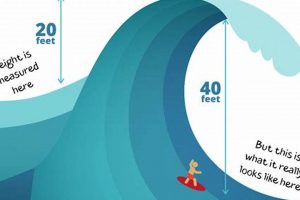 Mastering Surf of a Wave Measurement: Tips & Techniques Learn to Surf & Skate: A Beginner's Step-by-Step Guide Mastering Surf of a Wave Measurement: Tips & Techniques | Learn to Surf & Skate: A Beginner's Step-by-Step Guide
