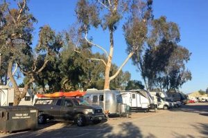 Discover Surf & Turf RV Parks: Your Coastal Camping Oasis Learn to Surf & Skate: A Beginner's Step-by-Step Guide Discover Surf & Turf RV Parks: Your Coastal Camping Oasis | Learn to Surf & Skate: A Beginner's Step-by-Step Guide
