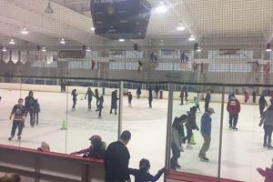 Bethpage Ice Rink: Public Skate Hours + Tips! Learn to Surf & Skate: A Beginner's Step-by-Step Guide Bethpage Ice Rink: Public Skate Hours + Tips! | Learn to Surf & Skate: A Beginner's Step-by-Step Guide