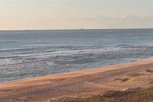 Panama City Beach Surf Report: Waves & Beach Forecasts Learn to Surf & Skate: A Beginner's Step-by-Step Guide Panama City Beach Surf Report: Waves & Beach Forecasts | Learn to Surf & Skate: A Beginner's Step-by-Step Guide