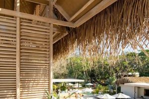 Find Your Surf Hotel Costa Rica Escape! Learn to Surf & Skate: A Beginner's Step-by-Step Guide Find Your Surf Hotel Costa Rica Escape! | Learn to Surf & Skate: A Beginner's Step-by-Step Guide