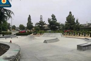 Your Guide to Skate Shop Rancho Cucamonga: Gear & Community Learn to Surf & Skate: A Beginner's Step-by-Step Guide Your Guide to Skate Shop Rancho Cucamonga: Gear & Community | Learn to Surf & Skate: A Beginner's Step-by-Step Guide