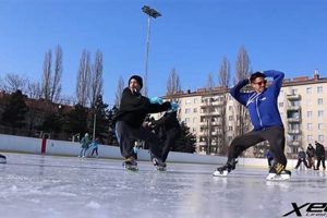Disney on Ice Skater Salary: What to Expect + Pay Scale Learn to Surf & Skate: A Beginner's Step-by-Step Guide Disney on Ice Skater Salary: What to Expect + Pay Scale | Learn to Surf & Skate: A Beginner's Step-by-Step Guide