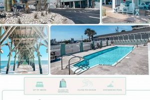 Surf City's Island Inn: Your Beach Getaway! Learn to Surf & Skate: A Beginner's Step-by-Step Guide Surf City's Island Inn: Your Beach Getaway! | Learn to Surf & Skate: A Beginner's Step-by-Step Guide