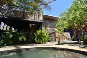 Surf's Up at La Negra: Your Perfect Surf Hotel Getaway Learn to Surf & Skate: A Beginner's Step-by-Step Guide Surf's Up at La Negra: Your Perfect Surf Hotel Getaway | Learn to Surf & Skate: A Beginner's Step-by-Step Guide