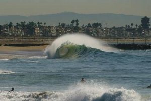 Your Ultimate Newport Beach Wedge Surf Report: [Date/Update] | Learn to Surf & Skate: A Beginner's Step-by-Step Guide