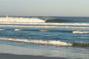 Live Dunes Surf Cam Views: Surf's Up [Location]! | Learn to Surf & Skate: A Beginner's Step-by-Step Guide