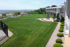 Cape Cod Surf & Sand Beach Motels: Your Coastal Escape Learn to Surf & Skate: A Beginner's Step-by-Step Guide Cape Cod Surf & Sand Beach Motels: Your Coastal Escape | Learn to Surf & Skate: A Beginner's Step-by-Step Guide
