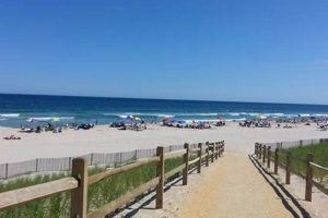 Your Surf City LBI Guide: Waves, Beaches & More! Learn to Surf & Skate: A Beginner's Step-by-Step Guide Your Surf City LBI Guide: Waves, Beaches & More! | Learn to Surf & Skate: A Beginner's Step-by-Step Guide