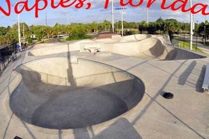 Your Guide: Naples, Florida Skate Parks Near You Learn to Surf & Skate: A Beginner's Step-by-Step Guide Your Guide: Naples, Florida Skate Parks Near You | Learn to Surf & Skate: A Beginner's Step-by-Step Guide