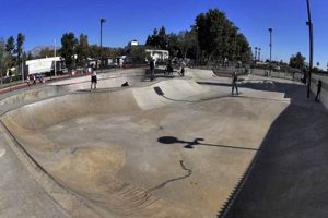 Montclair Skate Park: Your Ultimate Riding Destination Learn to Surf & Skate: A Beginner's Step-by-Step Guide Montclair Skate Park: Your Ultimate Riding Destination | Learn to Surf & Skate: A Beginner's Step-by-Step Guide