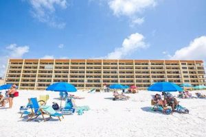 Fort Walton Beach Surf Dwellers: Florida Coastal Life Guide Learn to Surf & Skate: A Beginner's Step-by-Step Guide Fort Walton Beach Surf Dwellers: Florida Coastal Life Guide | Learn to Surf & Skate: A Beginner's Step-by-Step Guide