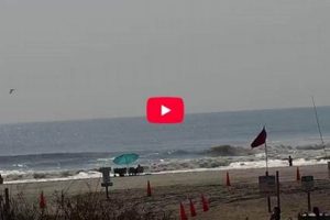 Beachcomber Surf Cam: Watch the Waves Live Now! Learn to Surf & Skate: A Beginner's Step-by-Step Guide Beachcomber Surf Cam: Watch the Waves Live Now! | Learn to Surf & Skate: A Beginner's Step-by-Step Guide