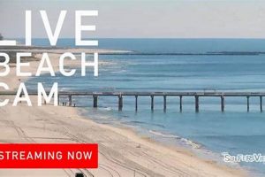 Discover Surf Style Orange Beach AL - [Your Brand/Blog Name] | Learn to Surf & Skate: A Beginner's Step-by-Step Guide