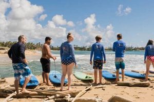 Book Surf Lessons Kauai Now! [Deals & Spots] | Learn to Surf & Skate: A Beginner's Step-by-Step Guide