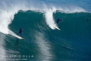 Your La Jolla Cove Surf Report: Conditions & Forecast Learn to Surf & Skate: A Beginner's Step-by-Step Guide Your La Jolla Cove Surf Report: Conditions & Forecast | Learn to Surf & Skate: A Beginner's Step-by-Step Guide