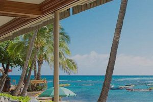 Colony Surf Hotel Hawaii: Gold Coast Boutique Stay Learn to Surf & Skate: A Beginner's Step-by-Step Guide Colony Surf Hotel Hawaii: Gold Coast Boutique Stay | Learn to Surf & Skate: A Beginner's Step-by-Step Guide
