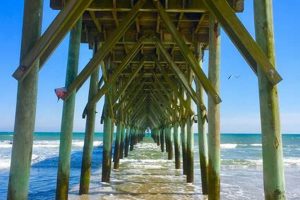 Michelangelo's Surf City, NC: Art & Waves Guide Learn to Surf & Skate: A Beginner's Step-by-Step Guide Michelangelo's Surf City, NC: Art & Waves Guide | Learn to Surf & Skate: A Beginner's Step-by-Step Guide