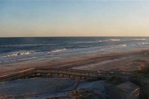 Live: Davis Park Surf Cam - Surf Report & Beach View Learn to Surf & Skate: A Beginner's Step-by-Step Guide Live: Davis Park Surf Cam - Surf Report & Beach View | Learn to Surf & Skate: A Beginner's Step-by-Step Guide