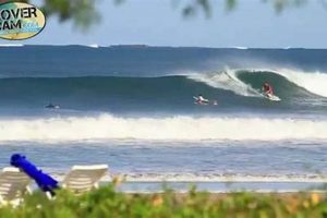 Your Tamarindo Costa Rica Surf Report: [Conditions & Forecast] | Learn to Surf & Skate: A Beginner's Step-by-Step Guide