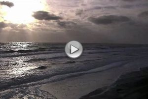 Corolla Light Surf Cam: See Live Beach Conditions! Learn to Surf & Skate: A Beginner's Step-by-Step Guide Corolla Light Surf Cam: See Live Beach Conditions! | Learn to Surf & Skate: A Beginner's Step-by-Step Guide