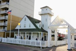 Explore Virginia Beach Surf & Rescue Museum: History Awaits! Learn to Surf & Skate: A Beginner's Step-by-Step Guide Explore Virginia Beach Surf & Rescue Museum: History Awaits! | Learn to Surf & Skate: A Beginner's Step-by-Step Guide